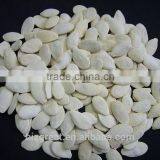 Raw Shin Skin Pumpkin Seeds for Sale thumbnail-5