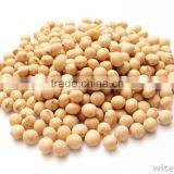Soybean thumbnail-1