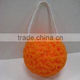 Bath Sponge