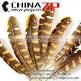 No.1 Supplier CHINAZP Top Selling 20-25cm Length Natural Reeves Venery Wing Pheasant Feathers for Decorations thumbnail-3