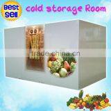 Walkin Cold Storage Room for Fruits Fresh Storage