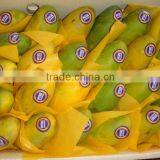 Fresh Honey Mango