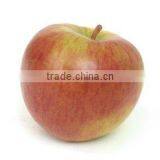 APPLE FLAVOR thumbnail-1