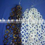 Round Dot Freshwater Mop Shell Beads Strand