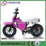 Green Power Innovative Star Cheap Sale Electric Bike thumbnail-6