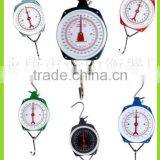 100kg /200kg Hanging Scale thumbnail-1