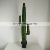 SJ3001009 High Imitation Cactus Plant/indoor Decoration Cactus Plant thumbnail-3