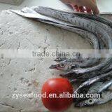 Large Stock Block Shape Frozen Surimi Best Exporter thumbnail-2