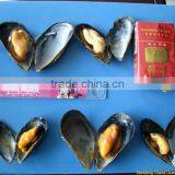 Boiled Mussel Meat With Half Shell Seafood thumbnail-1