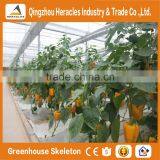 Heracles High Quality Customized Glass Greenhouse With Hydroponic System thumbnail-5