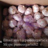 4.5cm 5cm 5.5cm Normal White Garlic Small Packing 1n 10kg Carton Box thumbnail-3