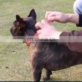 Wearable Retro Pet Collar Leash Training Dog Leather Rope Pet Neck Chain Pet Supplies thumbnail-1