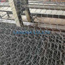 Hexagonal Wire Netting thumbnail-3