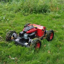 Remote slope mower with best price in China