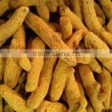 Turmeric Whole (Curcuma Longa) thumbnail-2