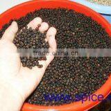 Black Pepper 550gl/ 500gl thumbnail-5