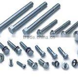 Screw Bolt (factory)