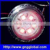 Outdoor Led Display Pixel Module DC12V RGB Cob Led Module thumbnail-2