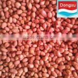 Red Skin Peanut Kernel