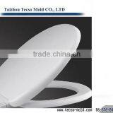 Plastic Toilet Seat /toilet Cover Mould Supplier thumbnail-6