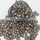New Crop Chinese Melon Seeds thumbnail-1