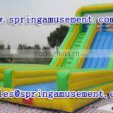 Personal Tailor Inflatable Water Slide for Adults and Children, Inflatable Slide SP-SL025
