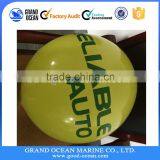 Germania Inflatable Ball thumbnail-3