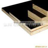 Export Manufactory of Shuttering Plywood Supply Water Proof Film Faced Plywood thumbnail-1