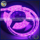 High Brightness Waterproof Epistar Led Strip 5050