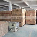 Mutilfunction Electric Rice Cooker for India Market thumbnail-6