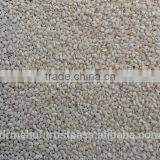 Hulled Sesame Seed thumbnail-3
