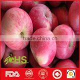 Export China Fresh Red Fuji Apples With Great Quality thumbnail-3