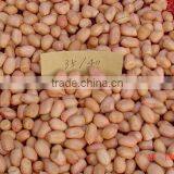 Peanut Kernel thumbnail-1