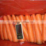 fresh red carrot (good taste)