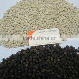STEAM STERILIZED BLACK PEPPER (website&Yahoo: Visimex06) thumbnail-6