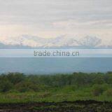 Aromaproduct Ltd company overview - view 3 thumbnail