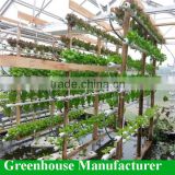 Lettuce hydroponics greenhouse roofs with UV plastic polycarbonate sheet