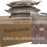 Propolis Extract Powder
