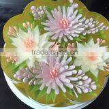 Excellent Agar Powder 100% Seaweed for Glial Food Ingredients thumbnail-1