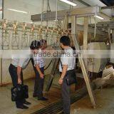 008618052092685 Poultry Chicken Slaughterhouse Equipment|High Quality Chicken Duck Broiler Slauhgtering Production Line thumbnail-1