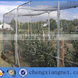 Agircultural Anti -bird Net