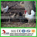 Poultry Netting/Chicken Run Galvanized Hexagonal Mesh thumbnail-1
