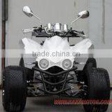 EEC 250cc Racing Quad thumbnail-1