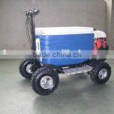 Hot Sale Barbecue Gas Cooler Scooter 43CC SX-G110 thumbnail-1