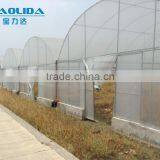 Cheap Easy Multi-span Greenhouse pe Film Green House thumbnail-3
