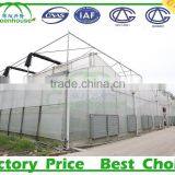Plastic Saw Tooth Green Houses for Tropical Place thumbnail-2