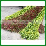 Garden Decoration Artificial Peacock Green Sculpture thumbnail-2