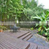 Outdoor Solid Wood Plastic Composite WPC Decking/WPC Flooring thumbnail-2