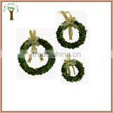 Different Sizes of Preserved Boxwood Wreath With White Silk Bow thumbnail-1