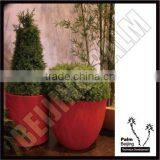 Garden Pot thumbnail-1